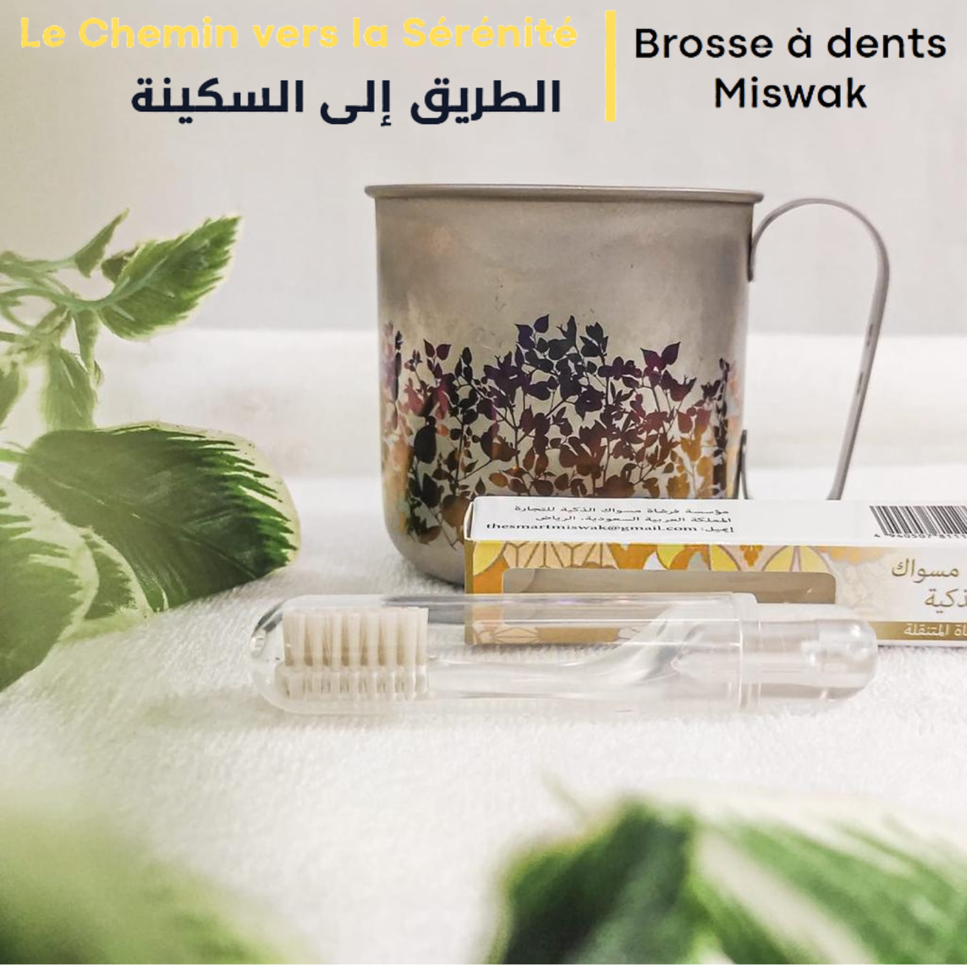 Brosse à dents Siwak/Miswak Intelligente de Voyage