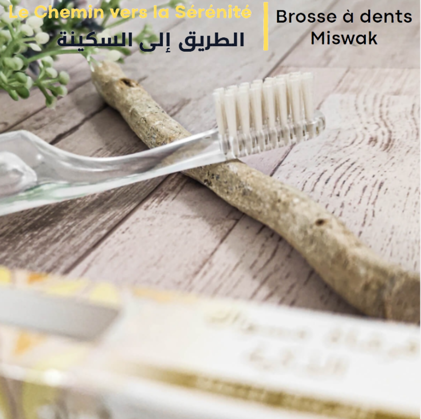 Brosse à dents Siwak/Miswak Intelligente de Voyage