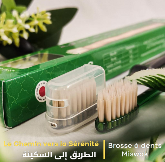 Brosse à dents Siwak/Miswak Classique Intelligente pour Adultes – Design Classique Transparent