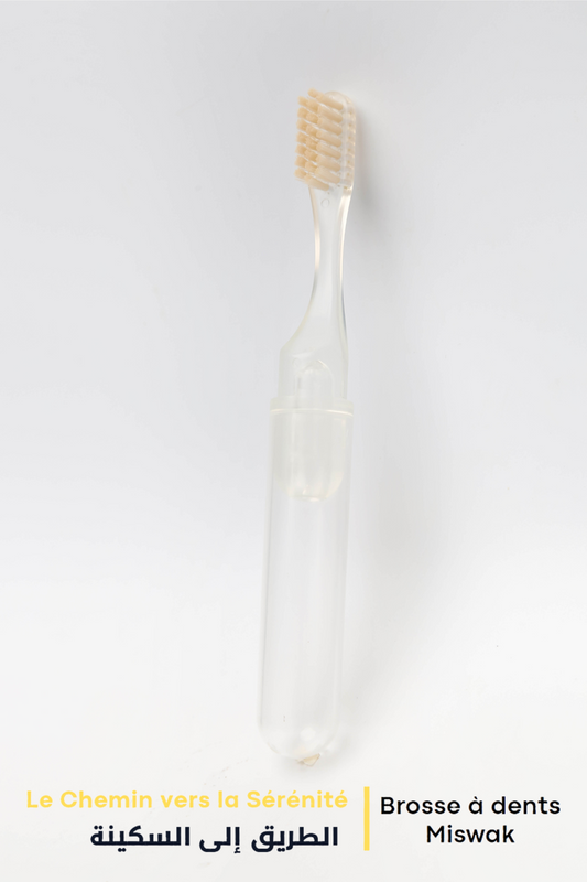 Pack Duo  Brosse à dents Siwak/Miswak  Voyage + Classique Transparent