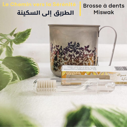 Pack Duo  Brosse à dents Siwak/Miswak  Voyage + Classique Transparent